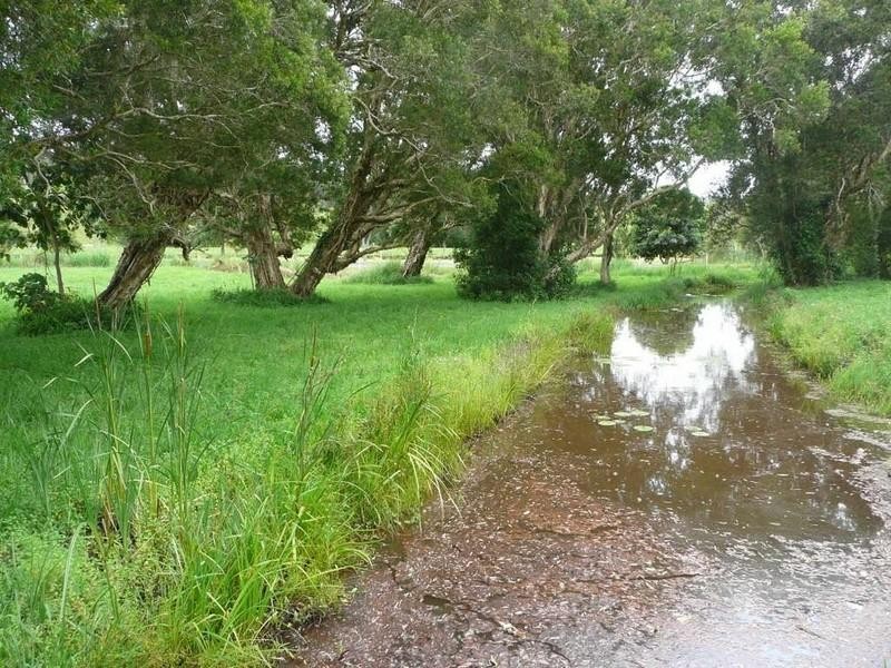 Clothiers Creek NSW 2484