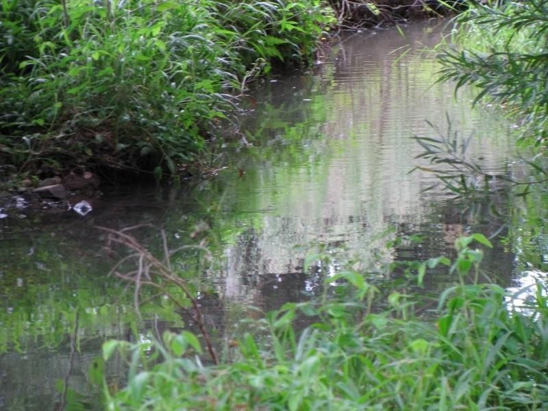 701 Clothiers Creek Road, Clothiers Creek NSW 2484