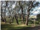 Cabarita Beach NSW 2488