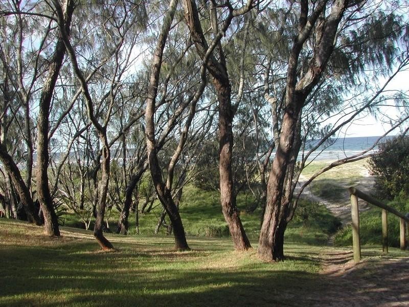 Cabarita Beach NSW 2488