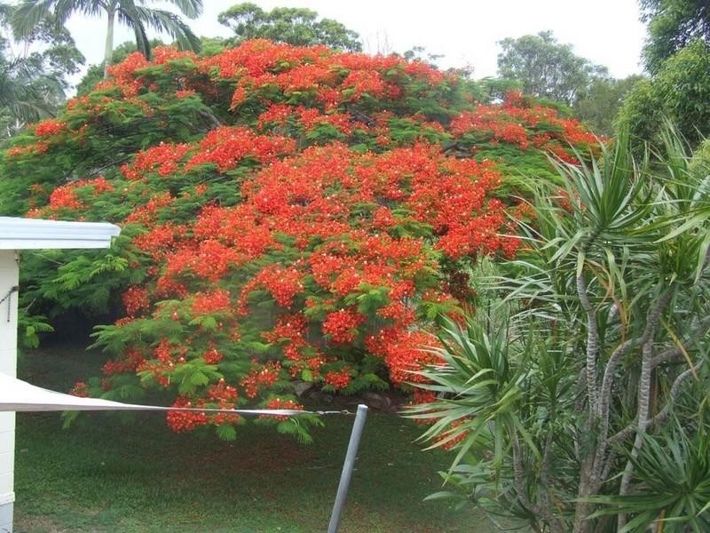 Cabarita Beach NSW 2488