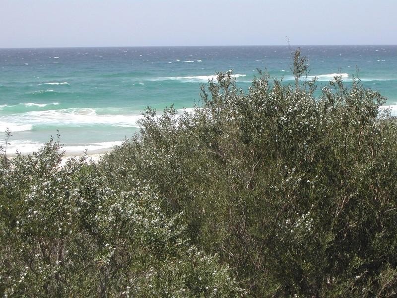 Cabarita Beach NSW 2488