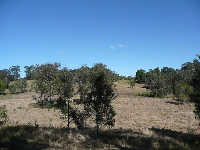 521 Round Mountain Road, Cabarita Beach NSW 2488