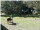 521 Round Mountain Road, Cabarita Beach NSW 2488