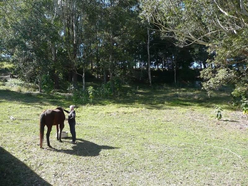 521 Round Mountain Road, Cabarita Beach NSW 2488