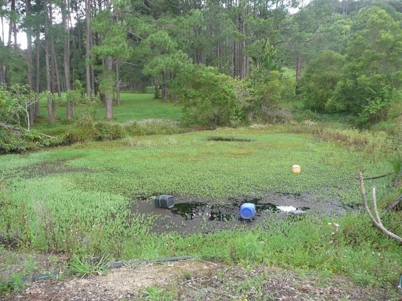 541 Eviron Road, Eviron NSW 2484