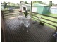 Cabarita Beach NSW 2488
