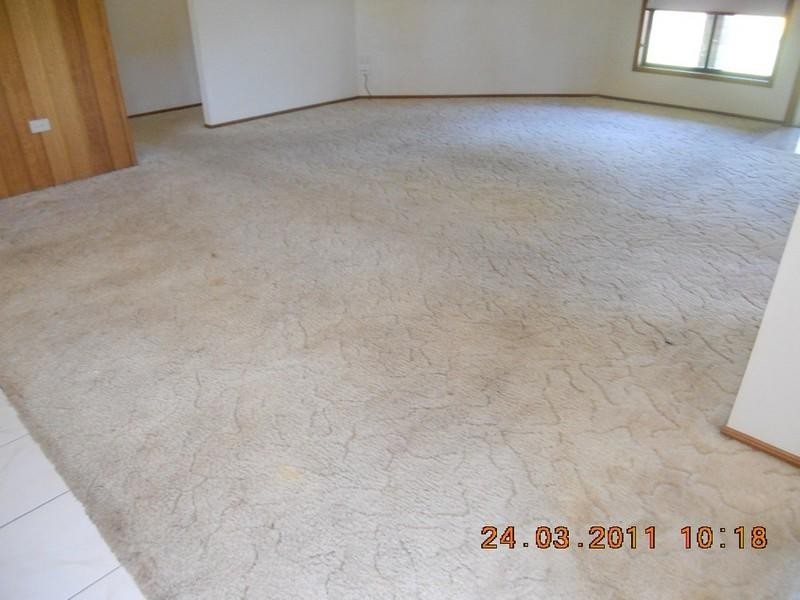 2/36 Grasstree Court, Bogangar NSW 2488