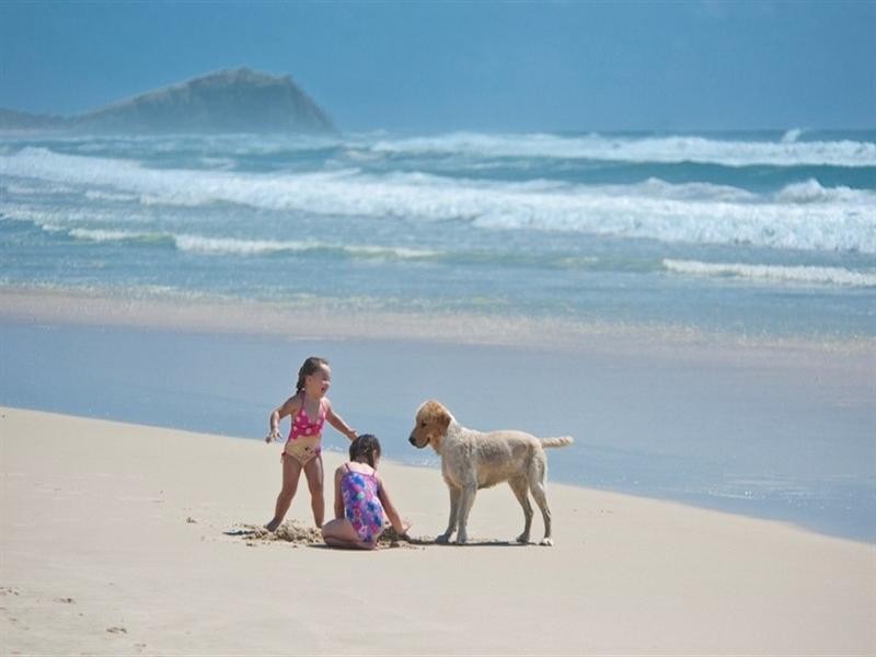 4 Tweed Coast Road, Hastings Point NSW 2489