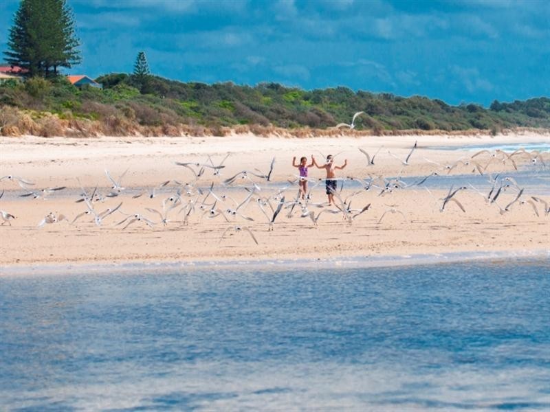 4 Tweed Coast Road, Hastings Point NSW 2489