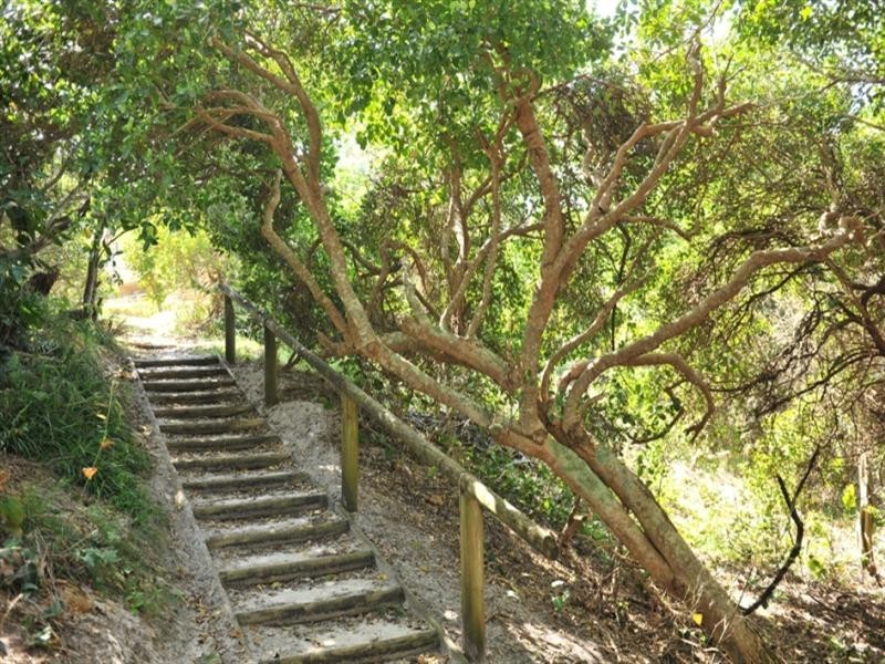 4 Tweed Coast Road, Hastings Point NSW 2489