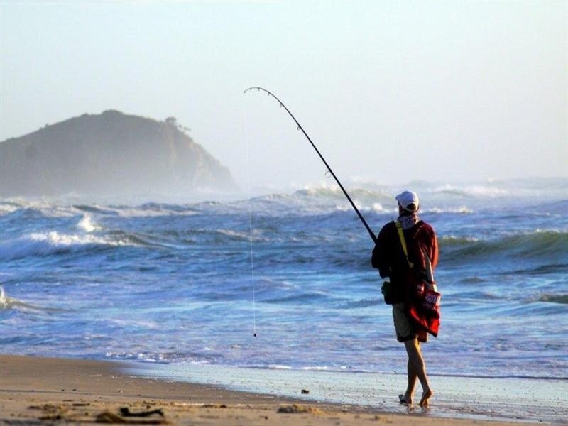 4 Tweed Coast Road, Hastings Point NSW 2489