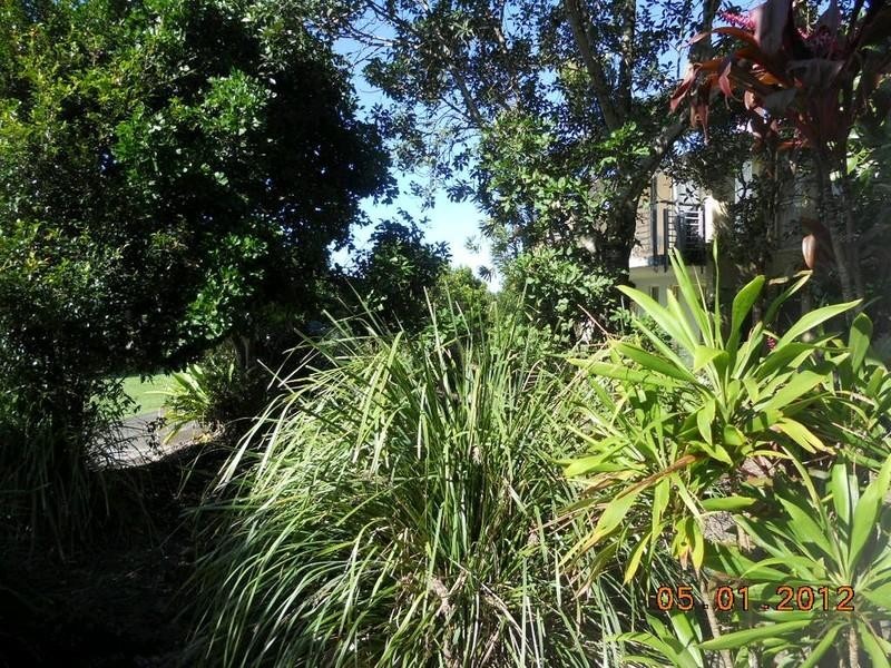 21 Barclay Drive, Casuarina NSW 2487