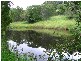 Murwillumbah NSW 2484