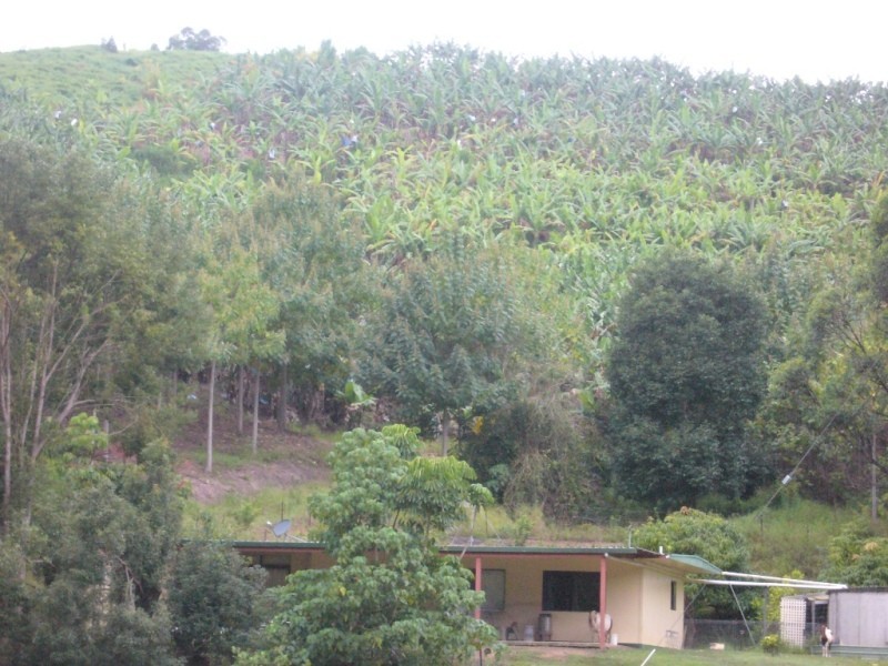 Murwillumbah NSW 2484