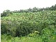 Murwillumbah NSW 2484