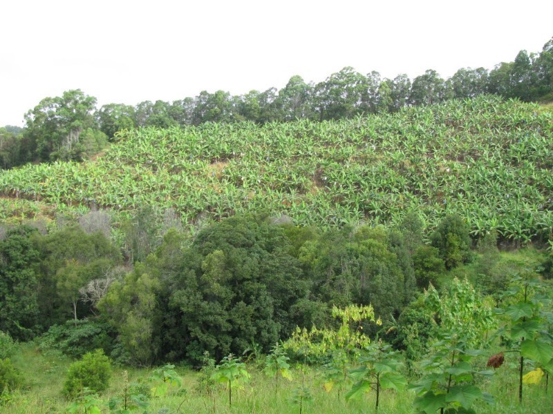 Murwillumbah NSW 2484