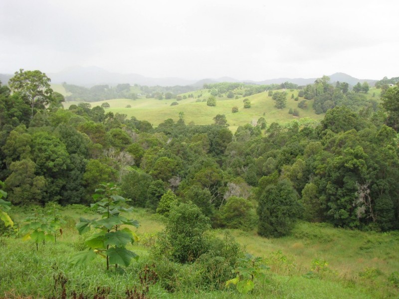 Murwillumbah NSW 2484