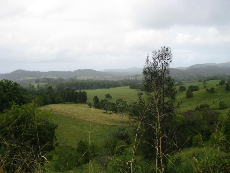 Murwillumbah NSW 2484