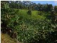 Murwillumbah NSW 2484
