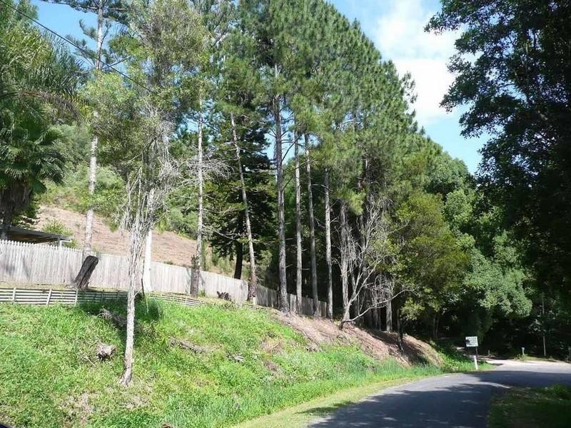 3 Yalambee Avenue, Cudgera Creek NSW 2484