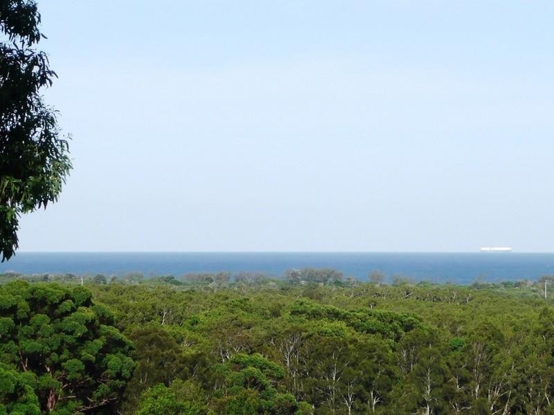 3 Roseash Court, Pottsville NSW 2489