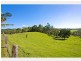 39 Warwick Park Road, Pottsville NSW 2489