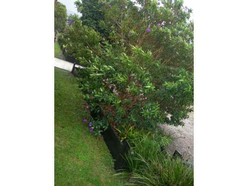 39 Warwick Park Road, Pottsville NSW 2489