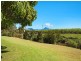 65 Eviron Road, Nunderi NSW 2484