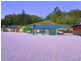 22 Cabbage Gum Road, Pottsville NSW 2489