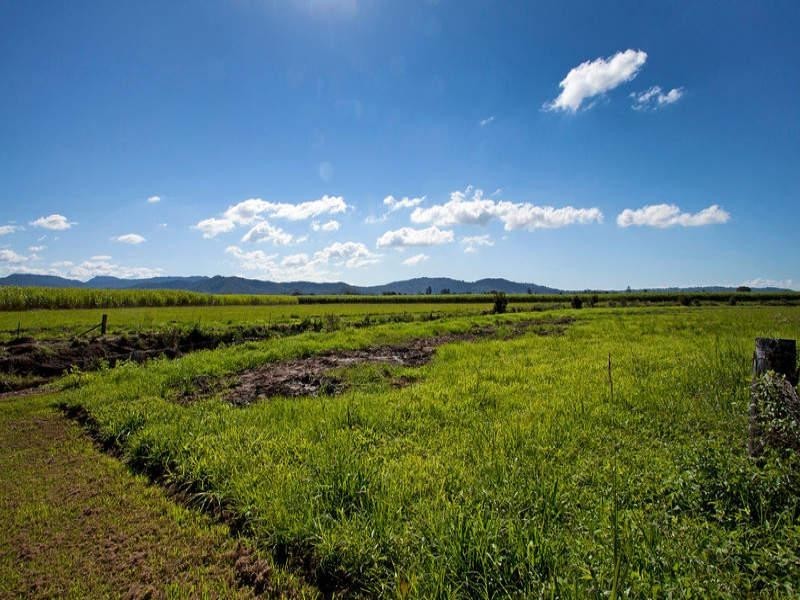 65 Eviron Road, Condong NSW 2484