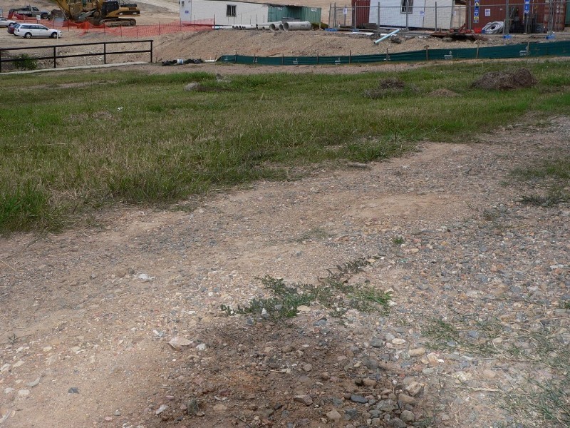 Upper Coomera QLD 4209