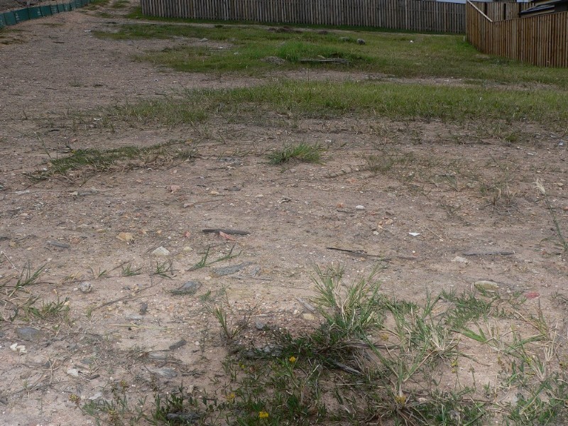 Upper Coomera QLD 4209