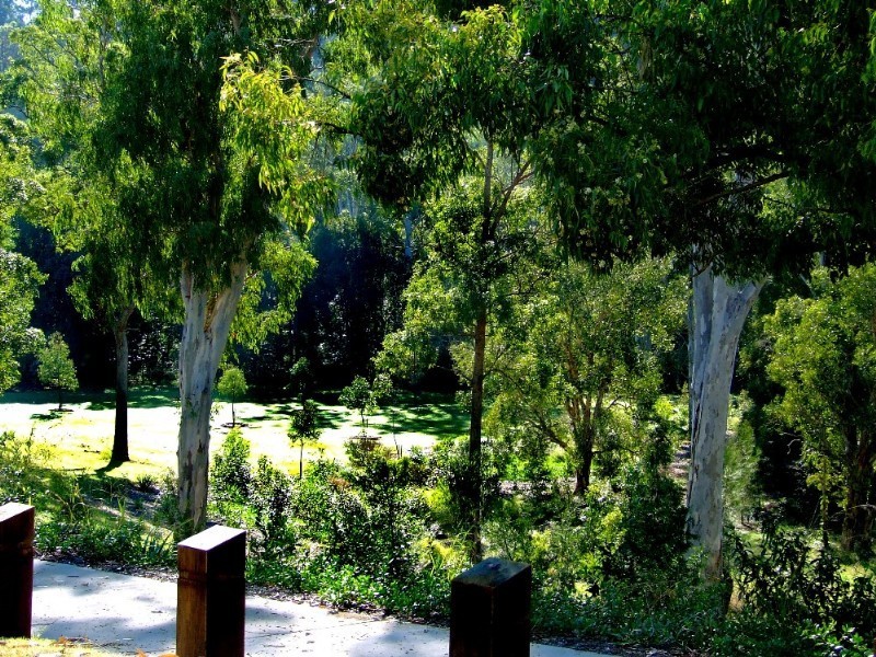 Upper Coomera QLD 4209