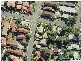 28 Meron Street, Southport QLD 4215