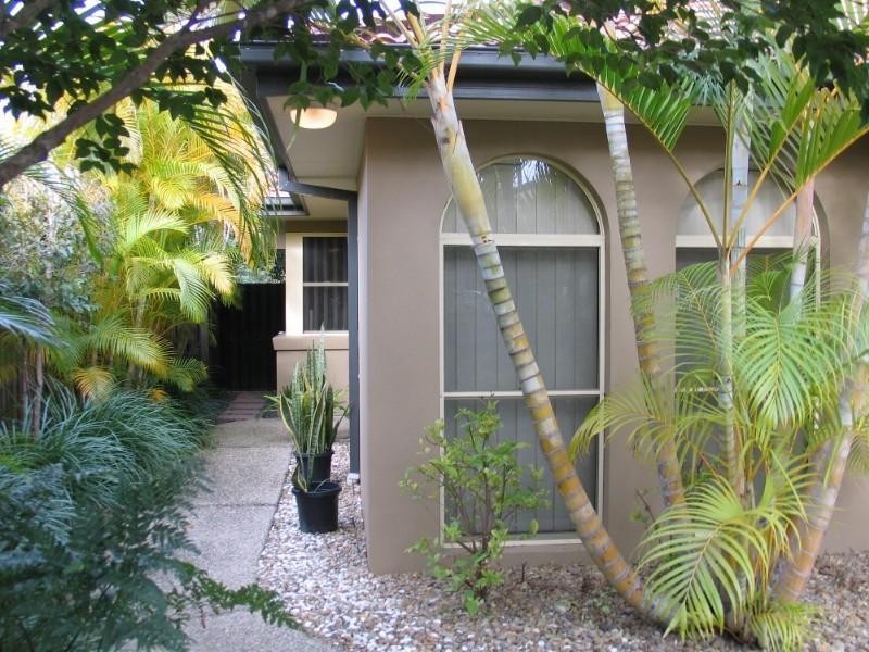 16 Vivacity Drive, Upper Coomera QLD 4209