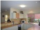 16 Vivacity Drive, Upper Coomera QLD 4209