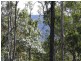 Wongawallan QLD 4210