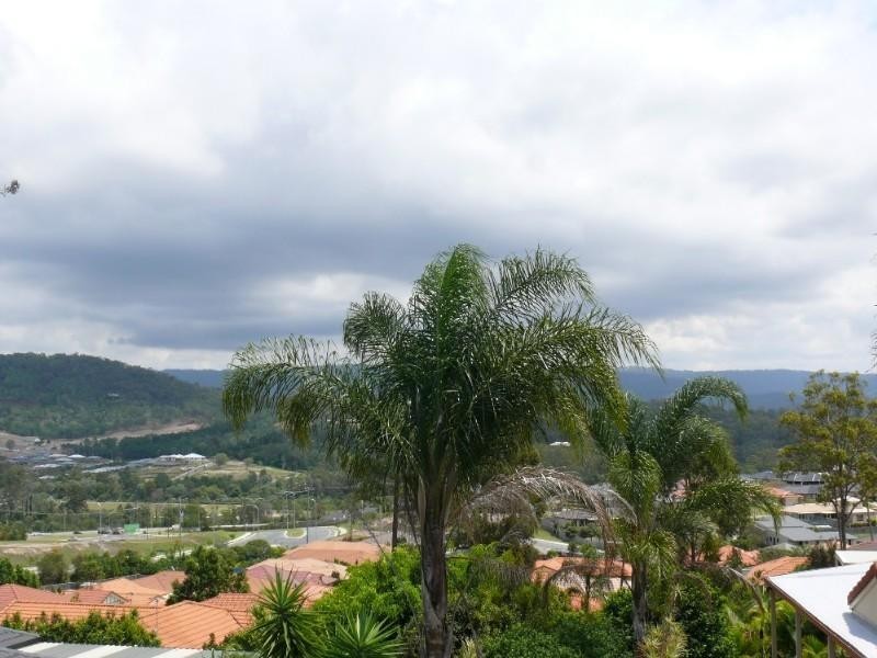 31 Palmerston Drive, Oxenford QLD 4210