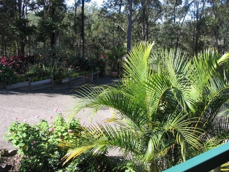 155 Fairview Drive, Willow Vale QLD 4209