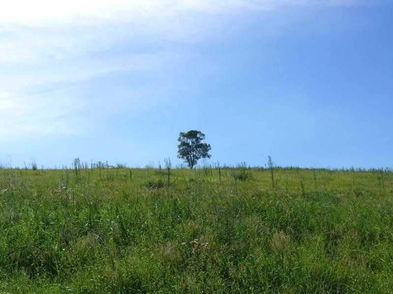 Willow Vale QLD 4209