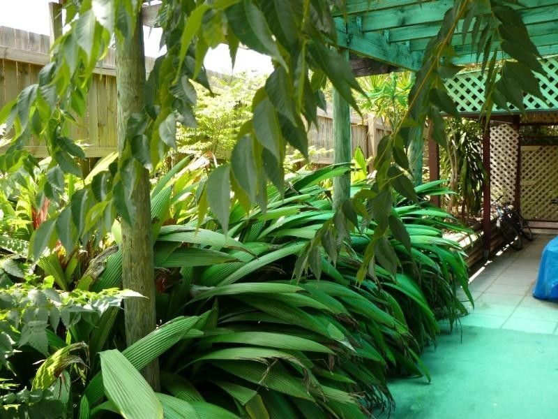 27 California Drive, Oxenford QLD 4210