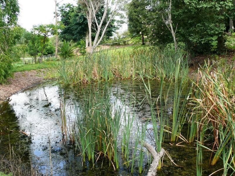 7 Asher Court, Upper Coomera QLD 4209