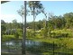 7 Crystal Springs Court, Maudsland QLD 4210