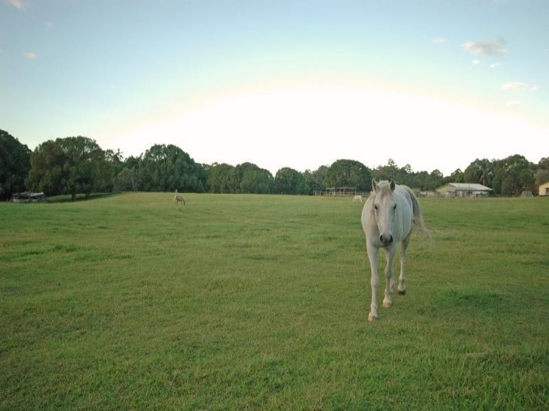 Willow Vale QLD 4209