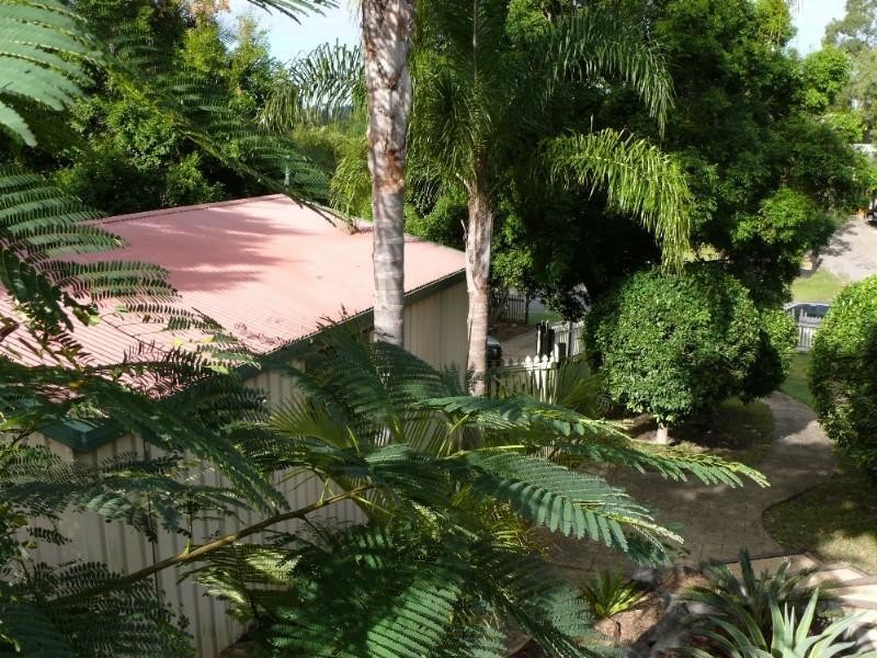 3 Texas Court, Oxenford QLD 4210