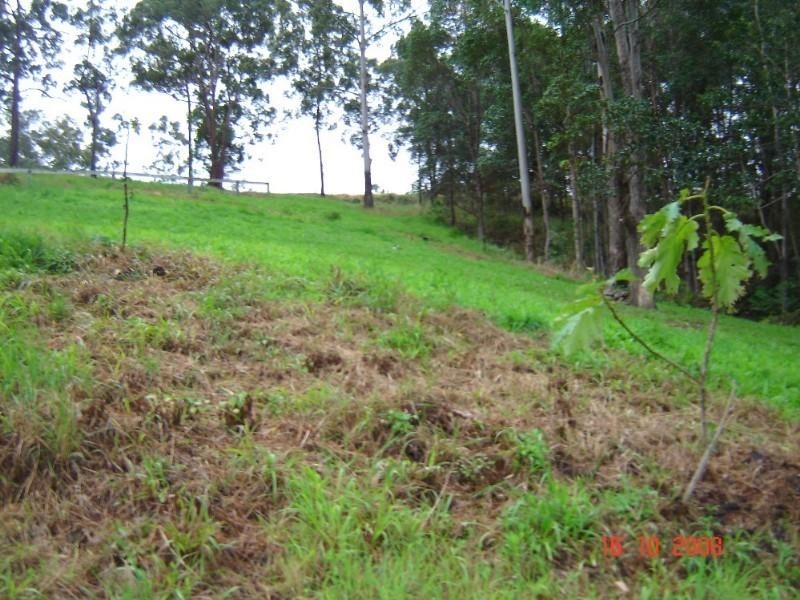 Wongawallan QLD 4210