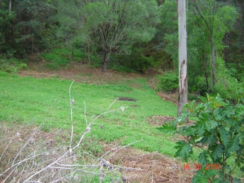 Wongawallan QLD 4210