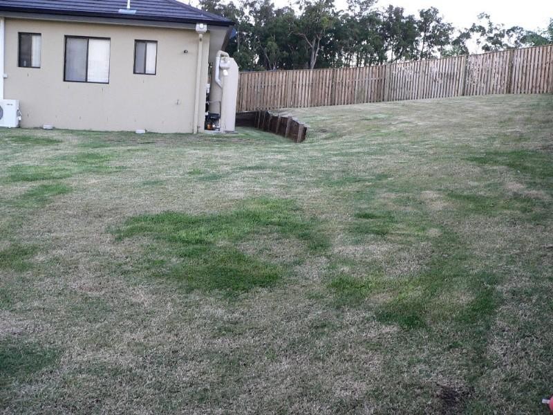 Upper Coomera QLD 4209