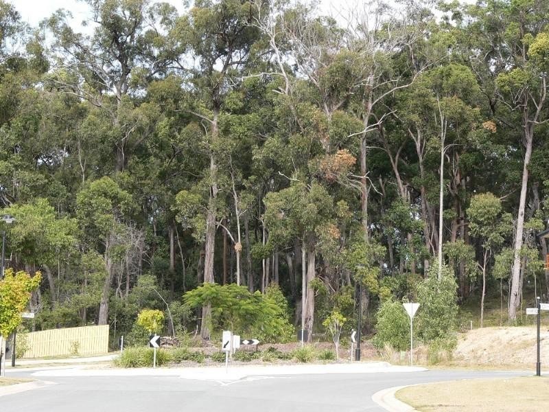 Upper Coomera QLD 4209